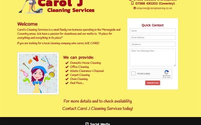 Carol J Cleaning