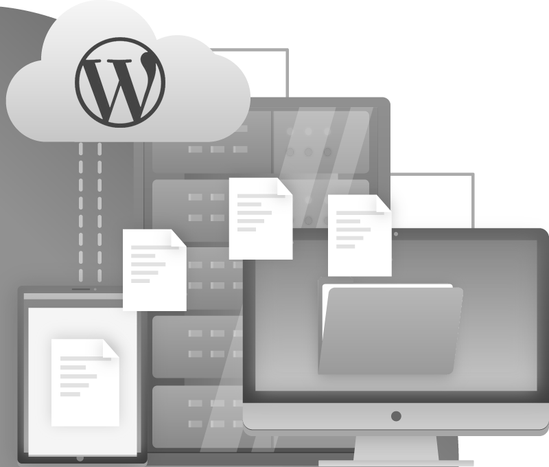 Wordpress file updates