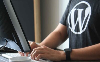 Beginner’s Guide To WordPress Website Backups