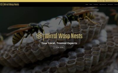 Wirral Wasp Nests