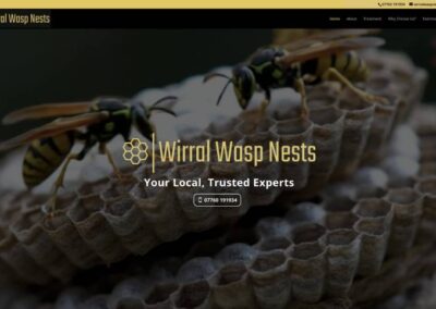 Wirral Wasp Nests